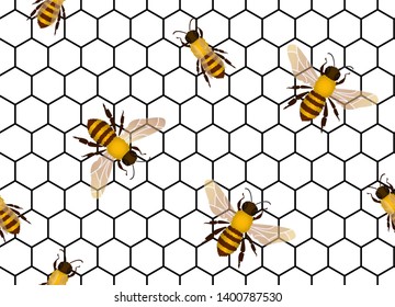 Honeycomb seamless background with bees. Vector illustration.