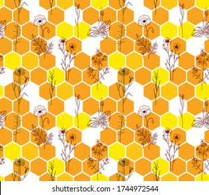 Patrón sin fisuras de honeycomb con flores pradera dibujadas a mano. Fondo de miel salvaje. Ilustración vectorial de hexágonos geométricos