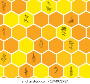 Honeycomb seamless pattern with hand drawn meadow flowers. Wild honey background. Vector illustration of geometric hexagons