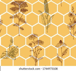 Honeycomb seamless pattern with hand drawn meadow flowers. Wild honey background. Vector illustration of geometric hexagons