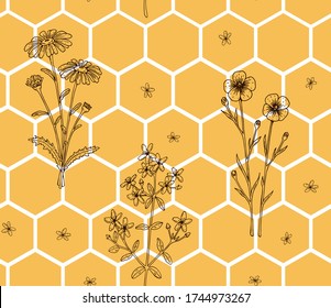 Patrón sin fisuras de honeycomb con flores pradera dibujadas a mano. Fondo de miel salvaje. Ilustración vectorial de hexágonos geométricos