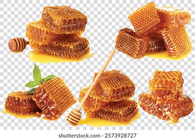 Honeycomb set on transparent background