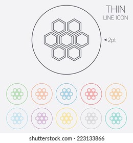Honeycomb sign icon. Honey cells symbol. Sweet natural food. Thin line circle web icons with outline. Vector
