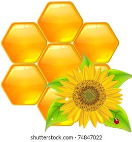 Honeycomb  with sunflowers vector