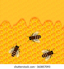 honeycomb and sweet honey drips.