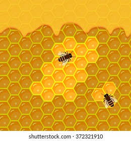 honeycomb and sweet honey drips.