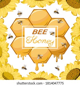 Honeycomb and text in color illustration.Color illustration with sunflowers, honeycomb and text.