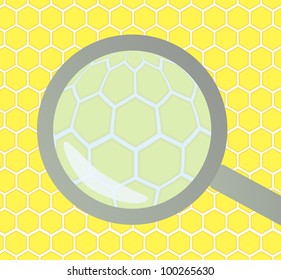 Honeycomb under magnifying glass vector background