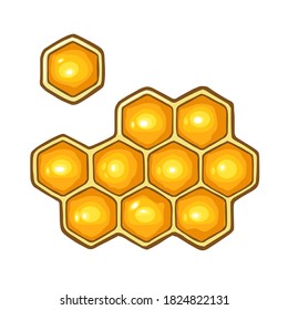Honeycomb. Vector color illustration. Isolated on white background. Hand drawn design element for label and poster