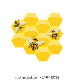 Honeycomb vector design illustration isolated on white background