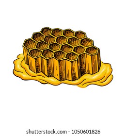 Honeycomb vector drawing. Hand drawn honey illustration. Organic food sketch. Artistic Propolis. Great for packaging design, label, icon, sign.