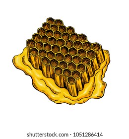 Honeycomb vector drawing. Hand drawn honey illustration. Organic food sketch. Artistic Propolis. Great for packaging design, label, icon, sign.