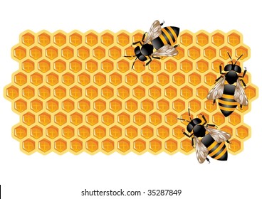 Honeycomb and Working Bees