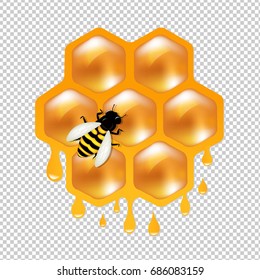 Honeycombs With Bee Gradient Mesh, Vector Illustration