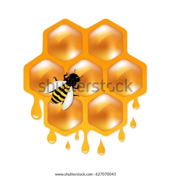 Honeycombs Bee Gradient Mesh Vector Illustration Stock Vector (Royalty ...