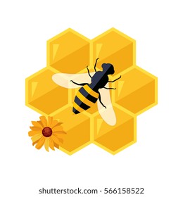 Honeycombs And Bee Sitting On Them Cartoon Illustration
