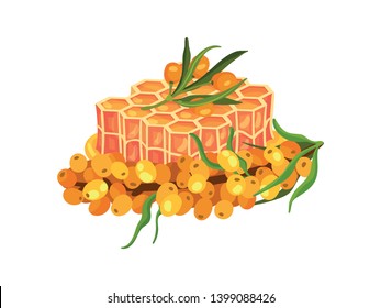 Honeycombs with a branch of sea buckthorn. Vector illustration on white background.
