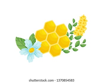 Honeycombs and flowers on a white background. Vector.