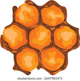 Honeycombs with honey, graphic image of beehives
