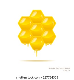 Honeycombs with honey on white isolated background. Vector illustration