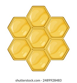 Honeycombs. Honey texture on isolated background. Template for your design.