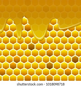 Honeycombs With Honey, Vector Illustration