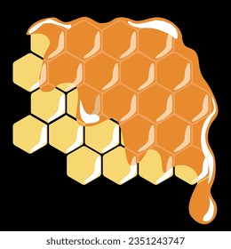 honeycombs with honey vector illustration