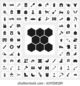 honeycombs icon. agriculture set. vector sign symbol on white background