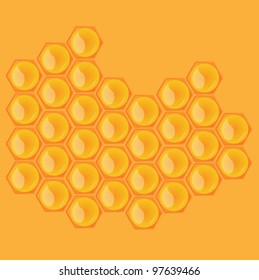 Honeycombs on orange background