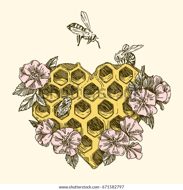 Honeycombs Shape Heart Bees Flowers Vintage 库 存 矢 量 图(免 版 税)671582797.