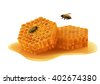 honeycomb bee isolated