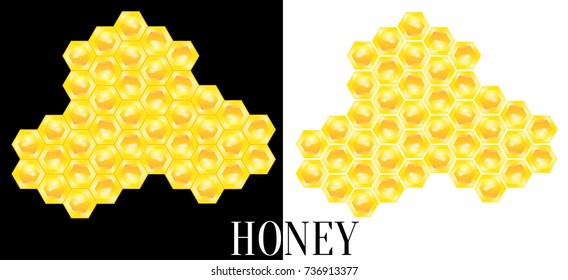 Honeycombs in the shape of hexagon sweet bee honey. Vector illustration.