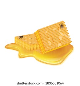 Honeycombs in the shape of square, puddle of honey, flying and sitting bee. Realistic vector illustration on white background.