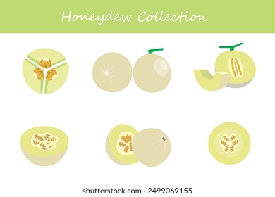 honeydew collection. honeydew in different poses. Vector illustration.