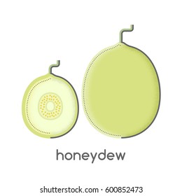 Honeydew melon, fruit vector illustration isolated on white background