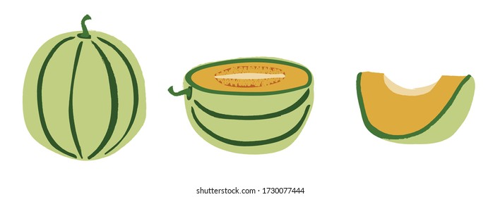 Honeydew melon, whole, half and a slice, vector, flat design