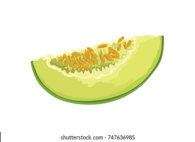 Honeydew Slice Vector