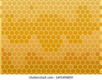 Peines de miel de abejas rellenos de miel. Fondo vectorial. Las abejas recolectan miel de diferentes colores, muchos matices en las células. Algunos contenedores no están llenos ni cerrados.