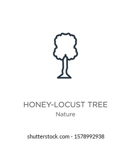 Honey-locust tree icon. Thin linear honey-locust tree outline icon isolated on white background from nature collection. Line vector sign, symbol for web and mobile