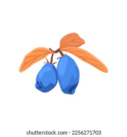 Honeysuckle branch with blue berries flat vector illustration. Cartoon drawing of seasonal autumn bush with orange leaves and berries on white background. Autumn or fall, season, flora concept