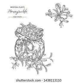 Honeysuckle branch with flowers and berries. Lonicera japonica. Medical plants hand drawn. Vector botanical illustration. Black and white graphic.