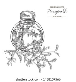 Honeysuckle branch with flowers. Lonicera japonica. Medical plants hand drawn. Vector botanical illustration. Black and white graphic.