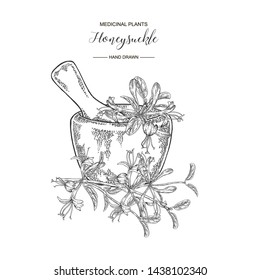 Honeysuckle branch with flowers and wooden mortar. Lonicera japonica. Medical plants hand drawn. Vector botanical illustration. Black and white graphic.