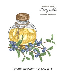 Honeysuckle branch with ripe berries and glass bottle. Lonicera japonica. Medical plants hand drawn. Vector botanical illustration. 