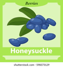 Honeysuckle flashcard in simple cartoon style. Learning berries with flashcards for kids. Vector illustration. Education Collection.