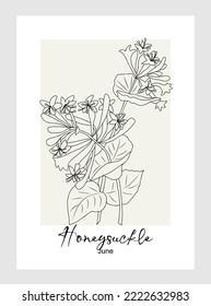 Honeysuckle flower line art