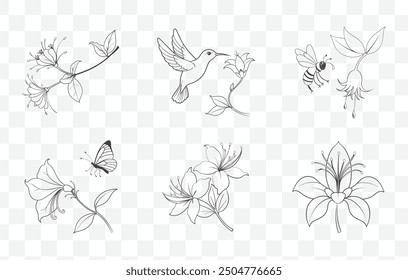 Honeysuckle Flower Line Art Vector Set with Detailed Floral Illustrations in Elegant Black and White Design