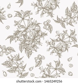 Honeysuckle flowers and berries seamless pattern. Lonicera japonica. Vector illustration. Design for textile and packaging. Engraving style.