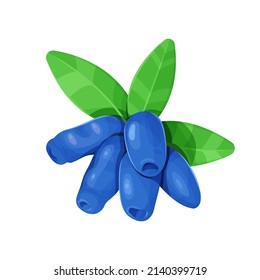 Honeysuckle with leaves isolated on a white background. Vector illustration