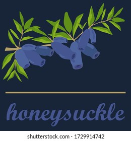 honeysuckle twig, vector graphics, dark background
